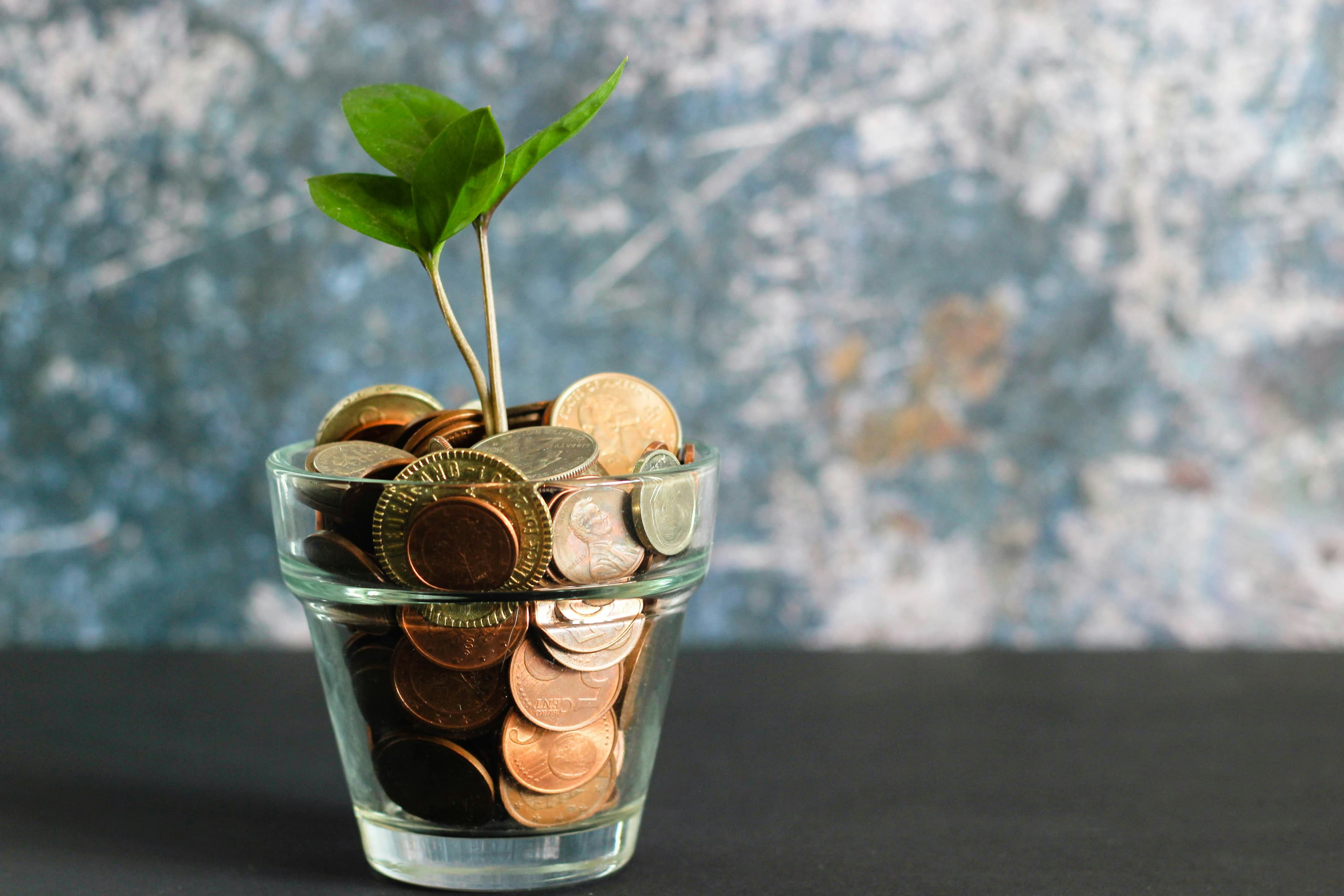 A young plant growing from a glass of coins — a symbol of nurtured wealth