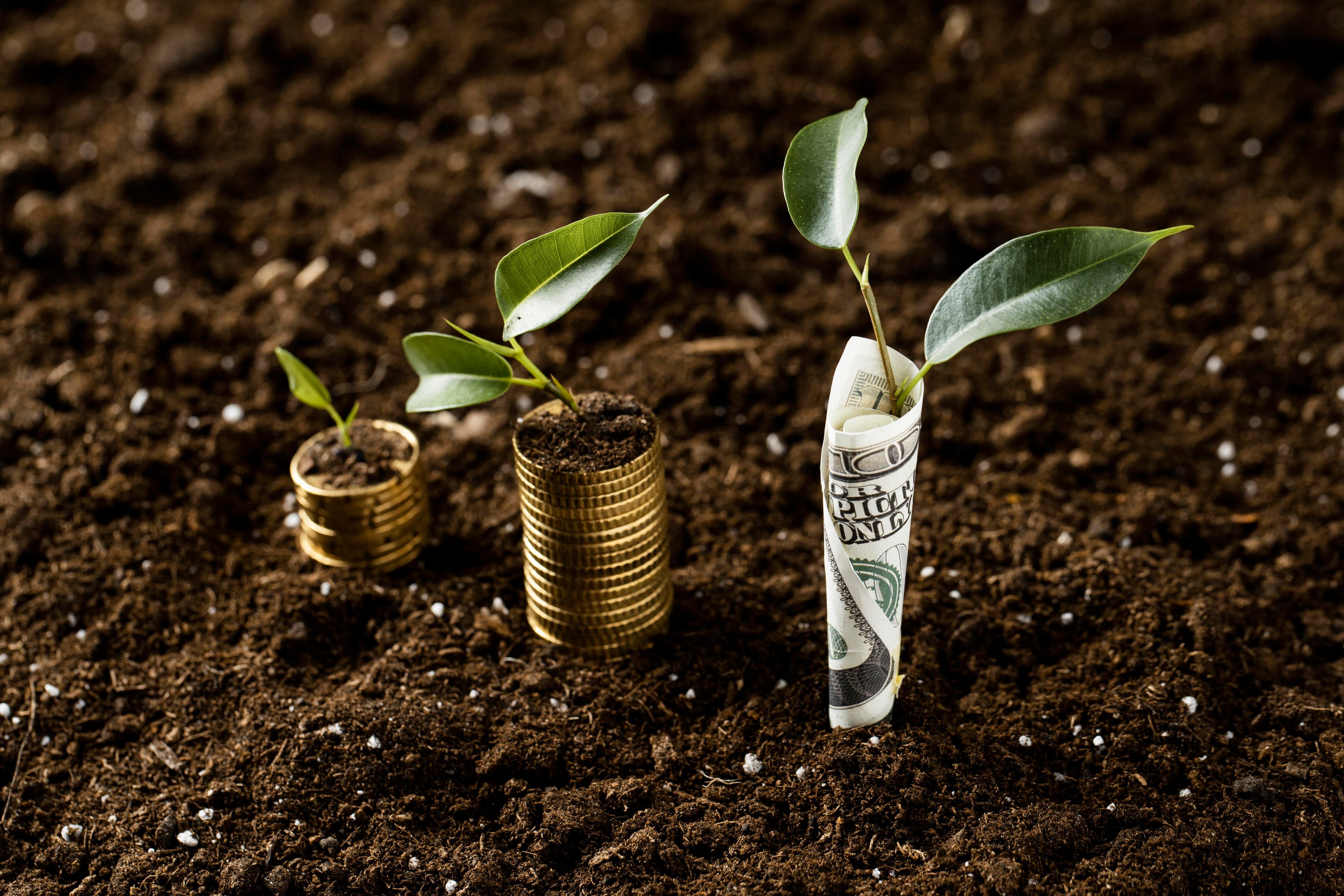 Wealth Creation